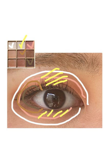 シャドウパレット/dasique/アイシャドウパレットを使ったクチコミ(2枚目)