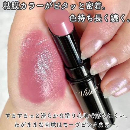 ネンマクフェイク ルージュ/Visée/口紅を使ったクチコミ(4枚目)