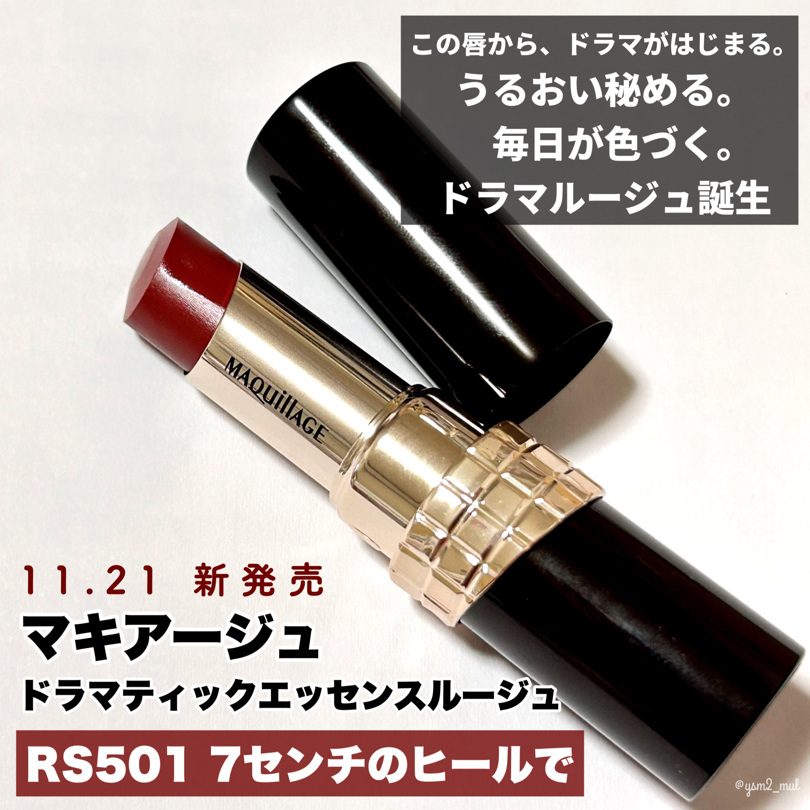 ドラマティックエッセンスルージュ RS501/マキアージュ/口紅を使ったクチコミ（2枚目）
