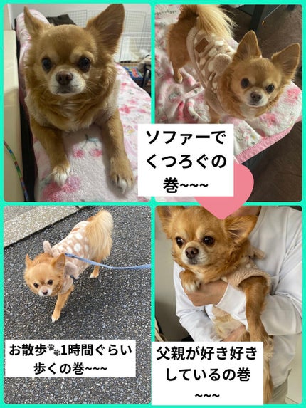 ぷぅぴぃ《紫コス部💜💗》 on LIPS 「2022年1月25日愛すべき家族✨ぷぅまくんHappybirt..」(7枚目)