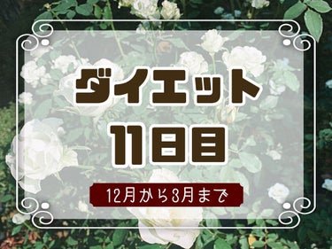 ソイプロテイン100/ザバス/ボディサプリメントを使ったクチコミ（1枚目）