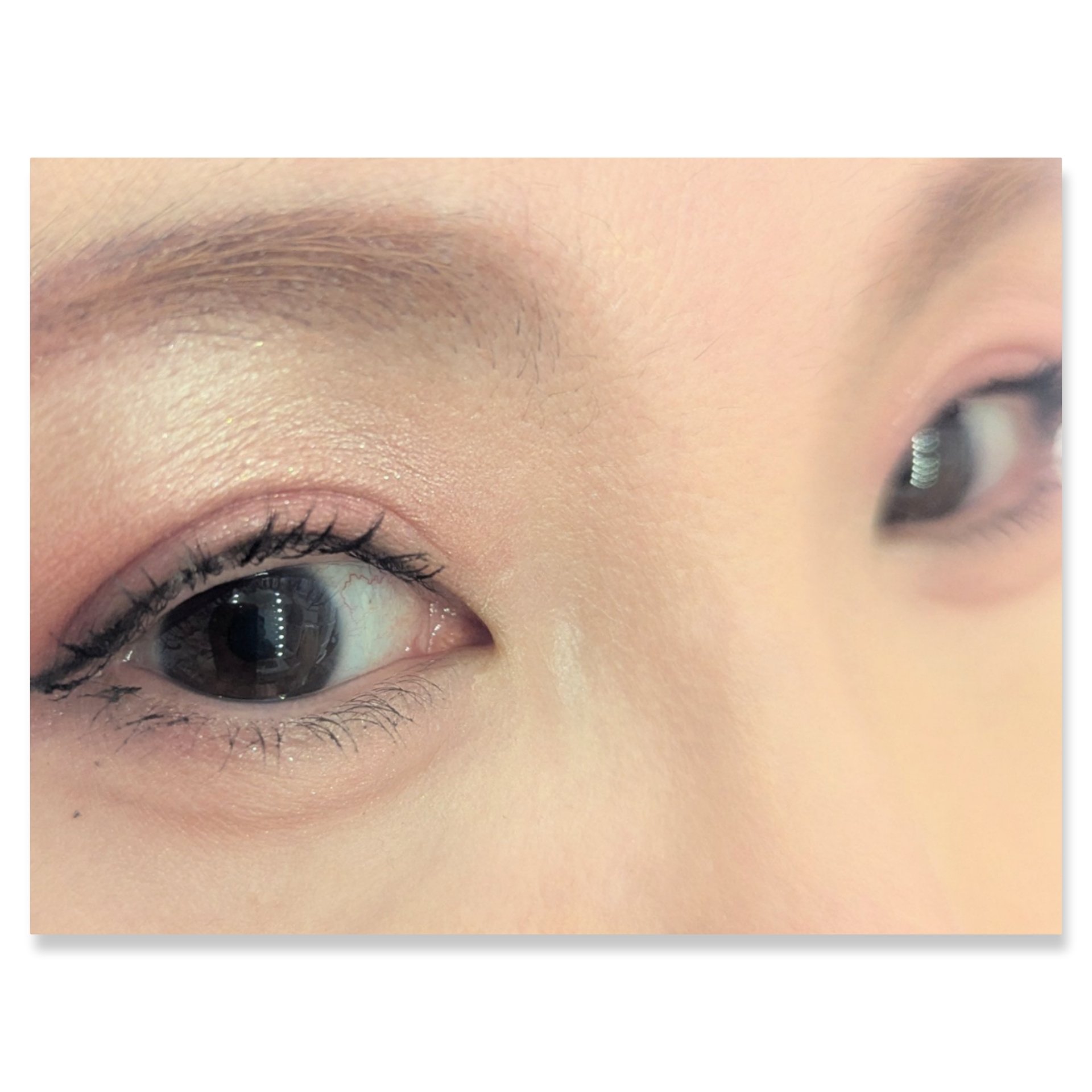 オーラクリエイション/BLEND BERRY/アイシャドウパレットを使ったクチコミ（2枚目）