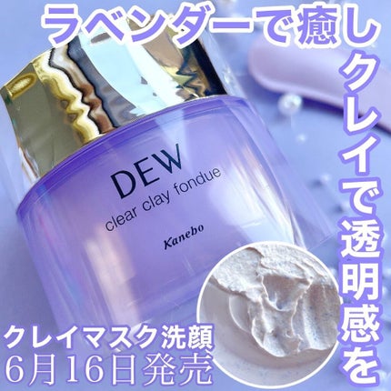 クリアクレイフォンデュ/DEW/洗い流すパック・マスクを使ったクチコミ(1枚目)