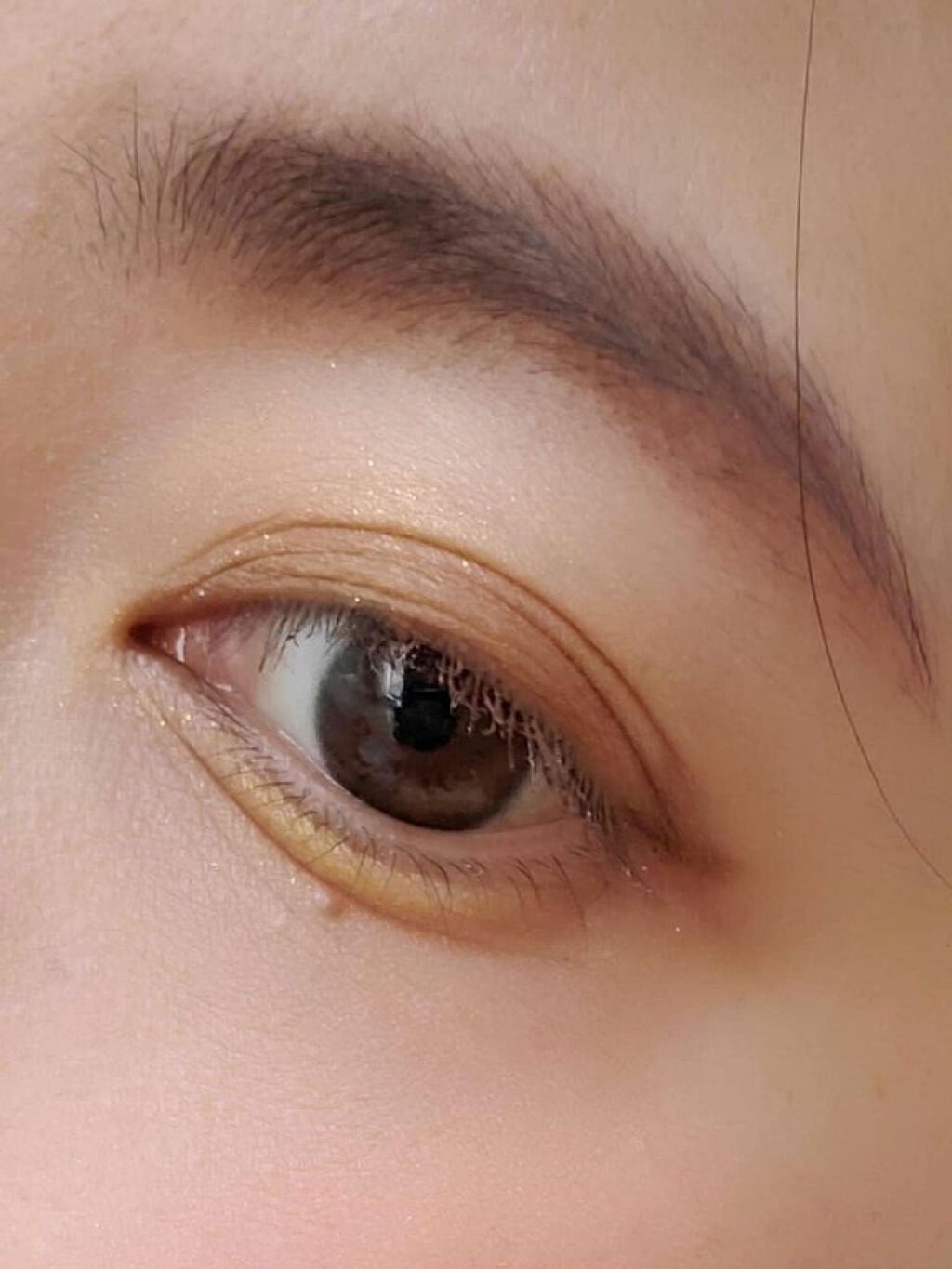 トーン ペタル アイシャドウ/to/one/アイシャドウパレットを使ったクチコミ(4枚目)