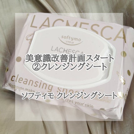 水クレンジングシート(モイスト)/ラチェスカ/クレンジングシートを使ったクチコミ(1枚目)