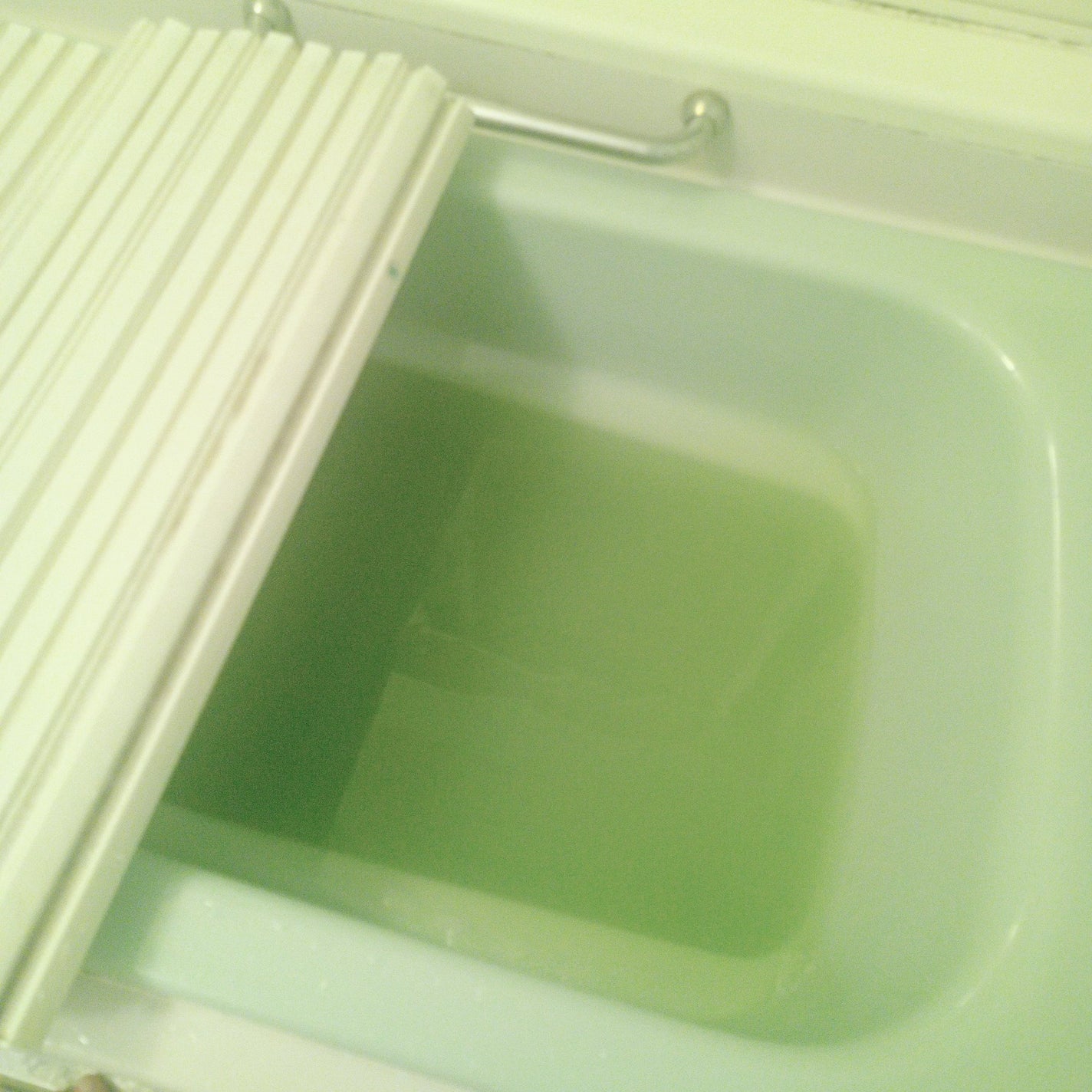 ワフードメイド 宇治抹茶の湯/pdc/保湿系入浴剤を使ったクチコミ(2枚目)