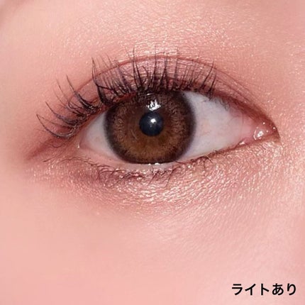 レ キャトル オンブル ツイード/CHANEL/アイシャドウパレットを使ったクチコミ(9枚目)