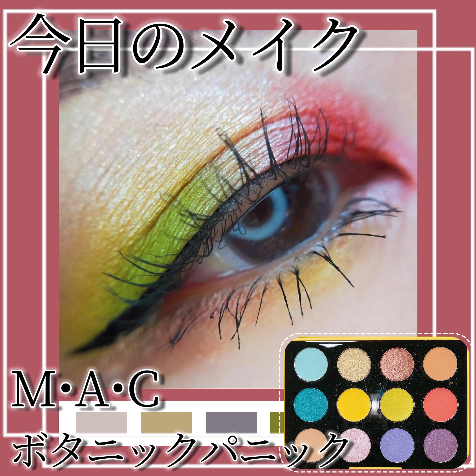 M.A.C マック ボタニック パニック スモール アイシャドウパレット 12色 試してみたM・A・C スモール アイシャドウ × 12 (ボタニック