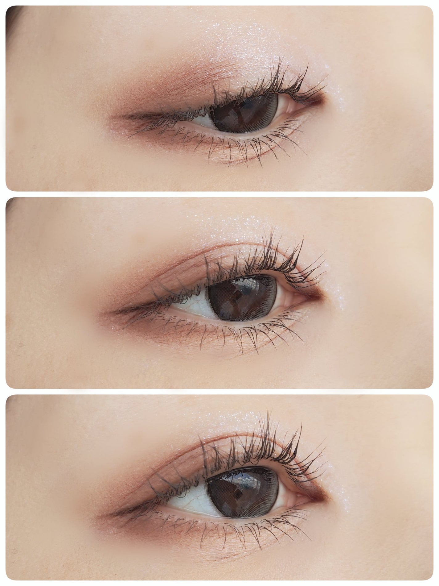 MOLAK 1day/MOLAK/ワンデー(1DAY)カラコンを使ったクチコミ(1枚目)