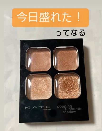 ケイト ポッピングシルエットシャドウ/KATE/アイシャドウパレットを使ったクチコミ(1枚目)