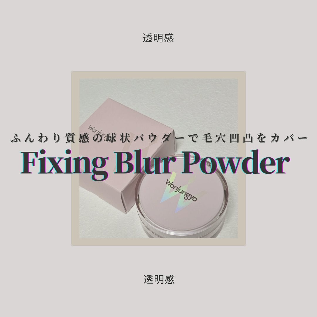ウォンジョンヨ フィクシングブラーパウダー N/Wonjungyo/ルースパウダーを使ったクチコミ(1枚目)