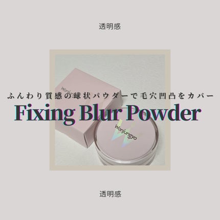 ウォンジョンヨ フィクシングブラーパウダー N/Wonjungyo/ルースパウダーを使ったクチコミ(1枚目)