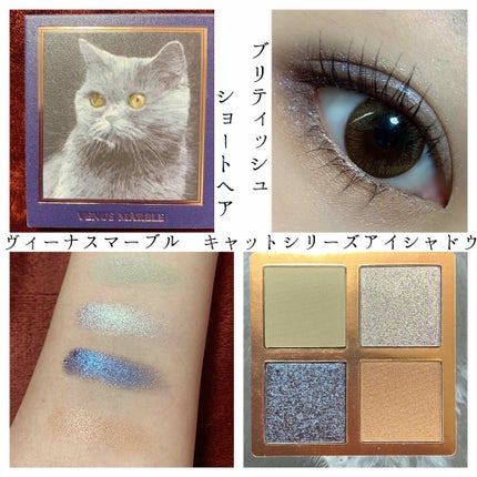 Venus Marble アイシャドウキャットシリーズ/Venus Marble/アイシャドウパレットを使ったクチコミ(1枚目)
