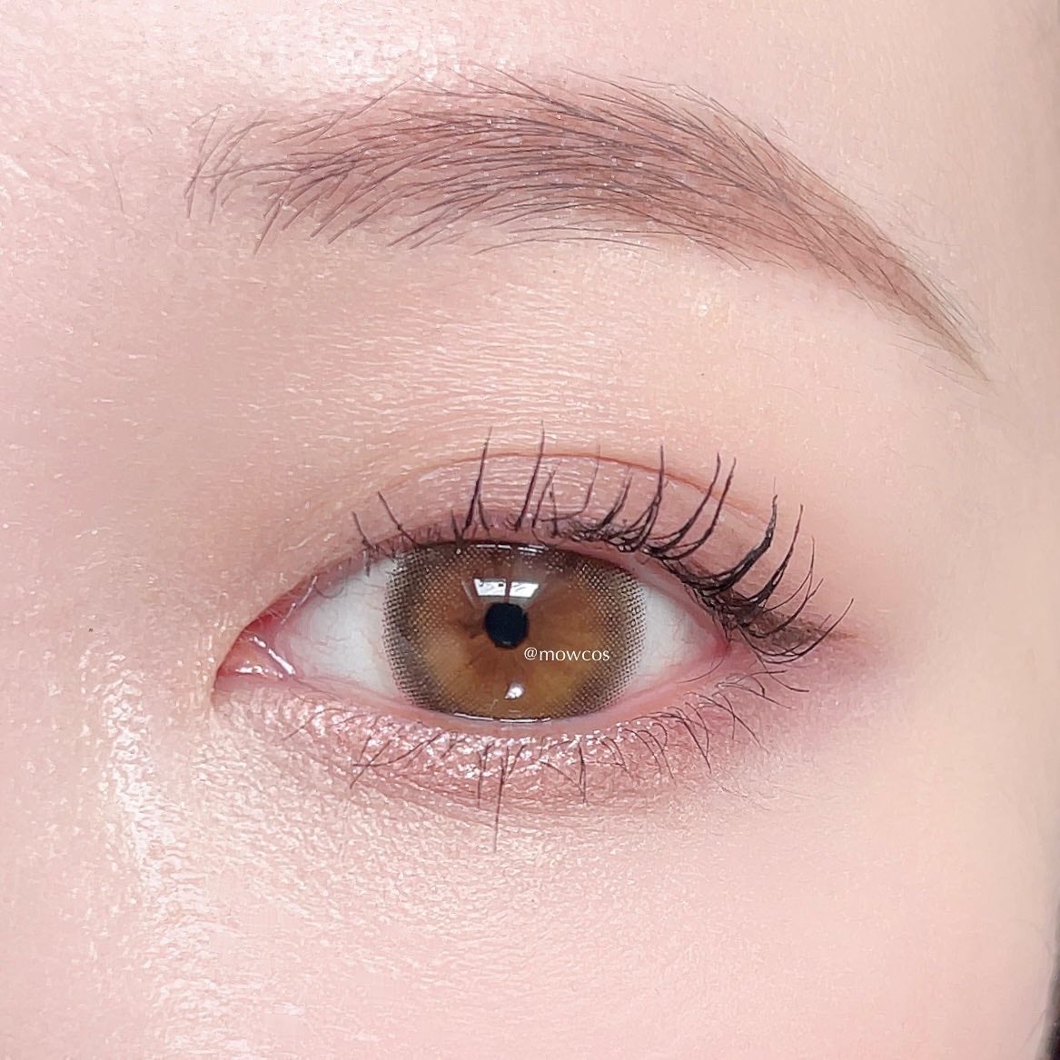 ミネラルマルチパウダー/エトヴォス/単色アイシャドウを使ったクチコミ(7枚目)