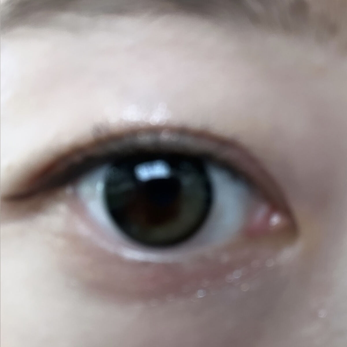 Secretive Kristen/Hapa kristin/カラーコンタクトレンズを使ったクチコミ（3枚目）