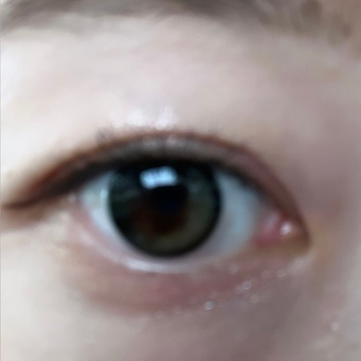 Secretive Kristen/Hapa kristin/カラーコンタクトレンズを使ったクチコミ(3枚目)