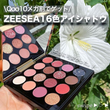 大英博物館 エジプトシリーズ アイシャドウパレット/ZEESEA/パウダーアイシャドウを使ったクチコミ（1枚目）