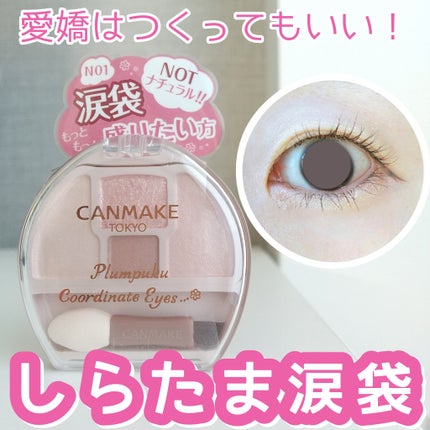プランぷくコーデアイズNeo/キャンメイク/アイシャドウを使ったクチコミ(1枚目)