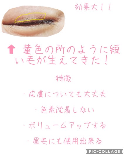 まつげ美容液EX/CEZANNE/まつげ美容液を使ったクチコミ(2枚目)