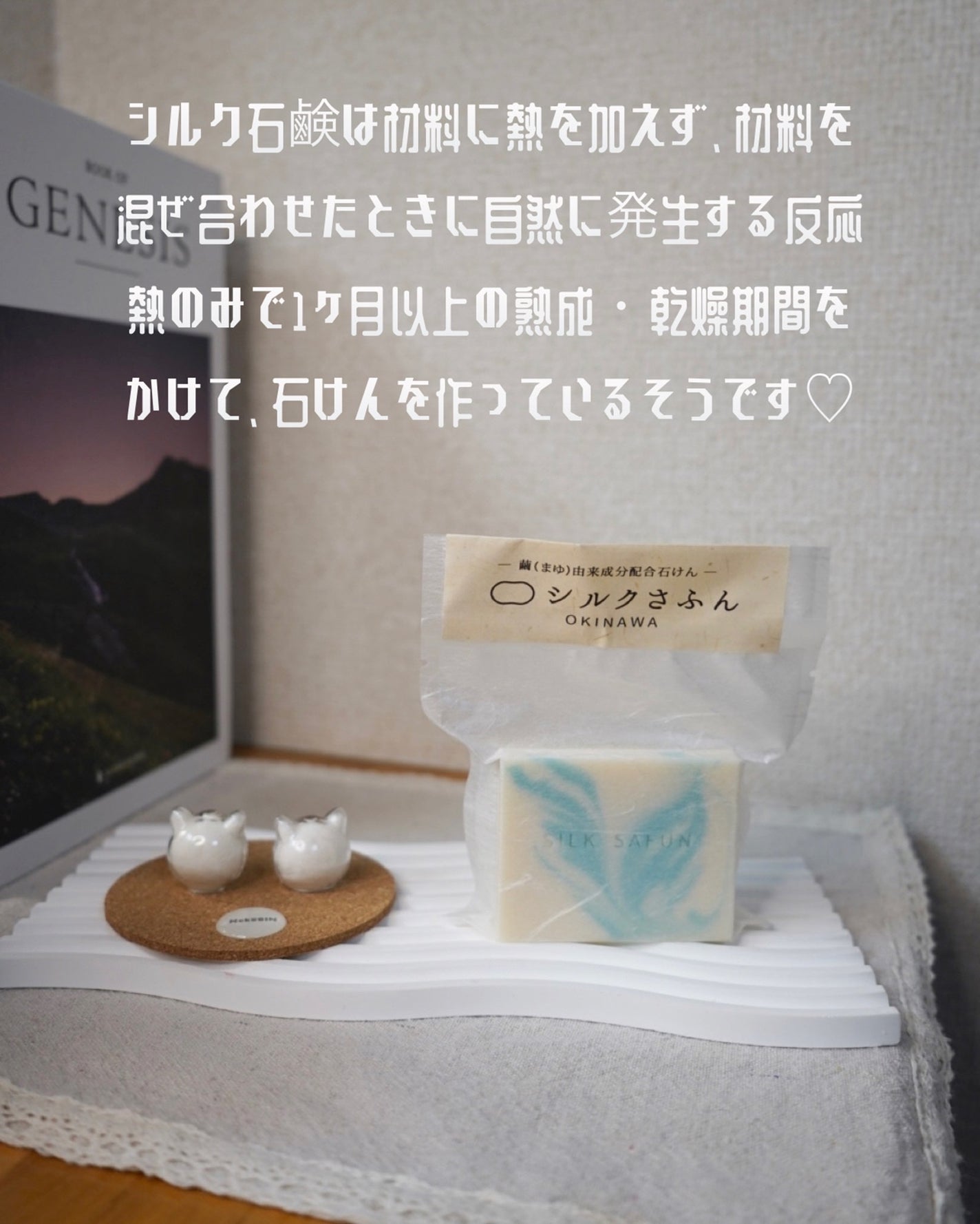 hyonað§žãã©ããããŸãð on LIPS ãæè¿åºåœ¢ç³é¹žã«ããã£ãŠããç§âŠèŠãç®ã坿ããŠããèã«åªããã·..ãïŒ10æç®ïŒ