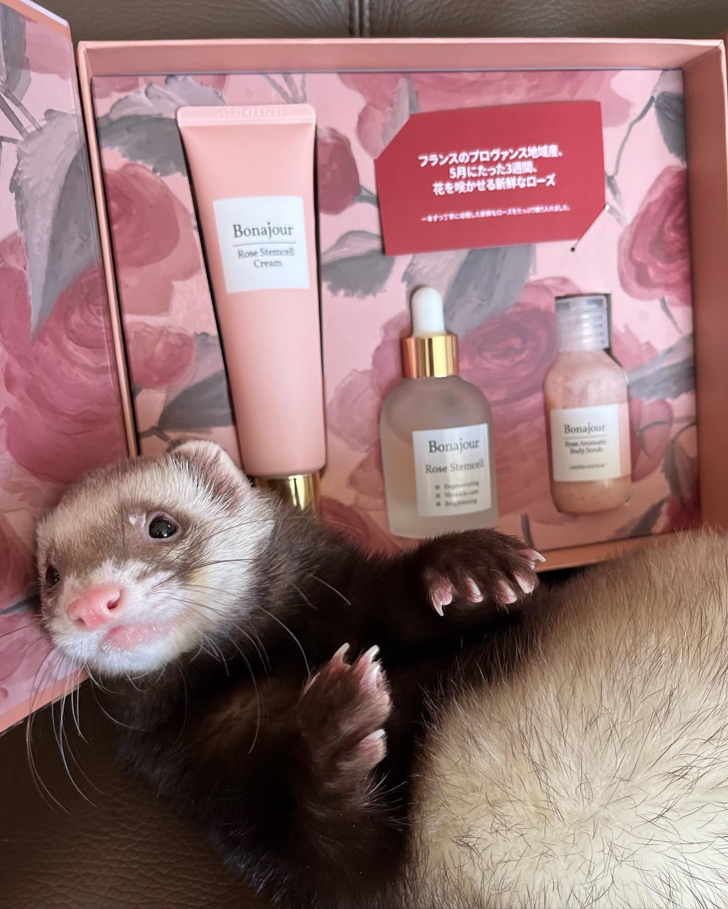 ローズステムセルセラム/Bonajour/美容液を使ったクチコミ（2枚目）