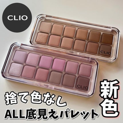 プロ アイ パレット エアー/CLIO/アイシャドウパレットを使ったクチコミ(1枚目)