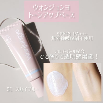 ウォンジョンヨ トーンアップベース NA/Wonjungyo/化粧下地を使ったクチコミ(1枚目)