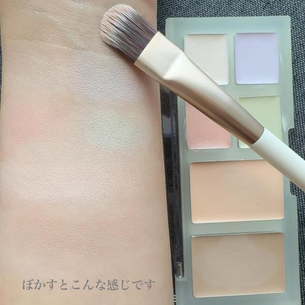 ブリージングコンシーラーパレット/Healus/パレットコンシーラーを使ったクチコミ(6枚目)