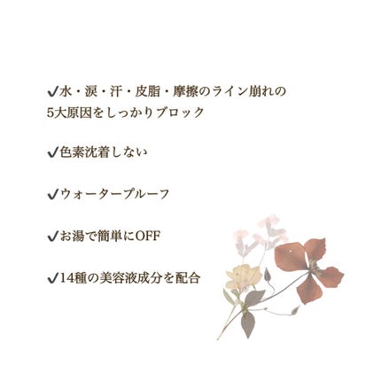 スキルレスライナー/LUMIURGLAS/リキッドアイライナーを使ったクチコミ(3枚目)