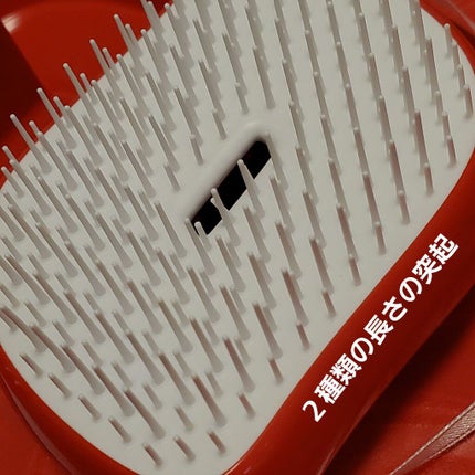 コンパクトスタイラー/TANGLE TEEZER/ヘアブラシを使ったクチコミ(3枚目)