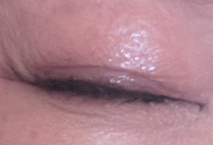 インク ブラック カラ/PERIPERA/マスカラを使ったクチコミ（3枚目）