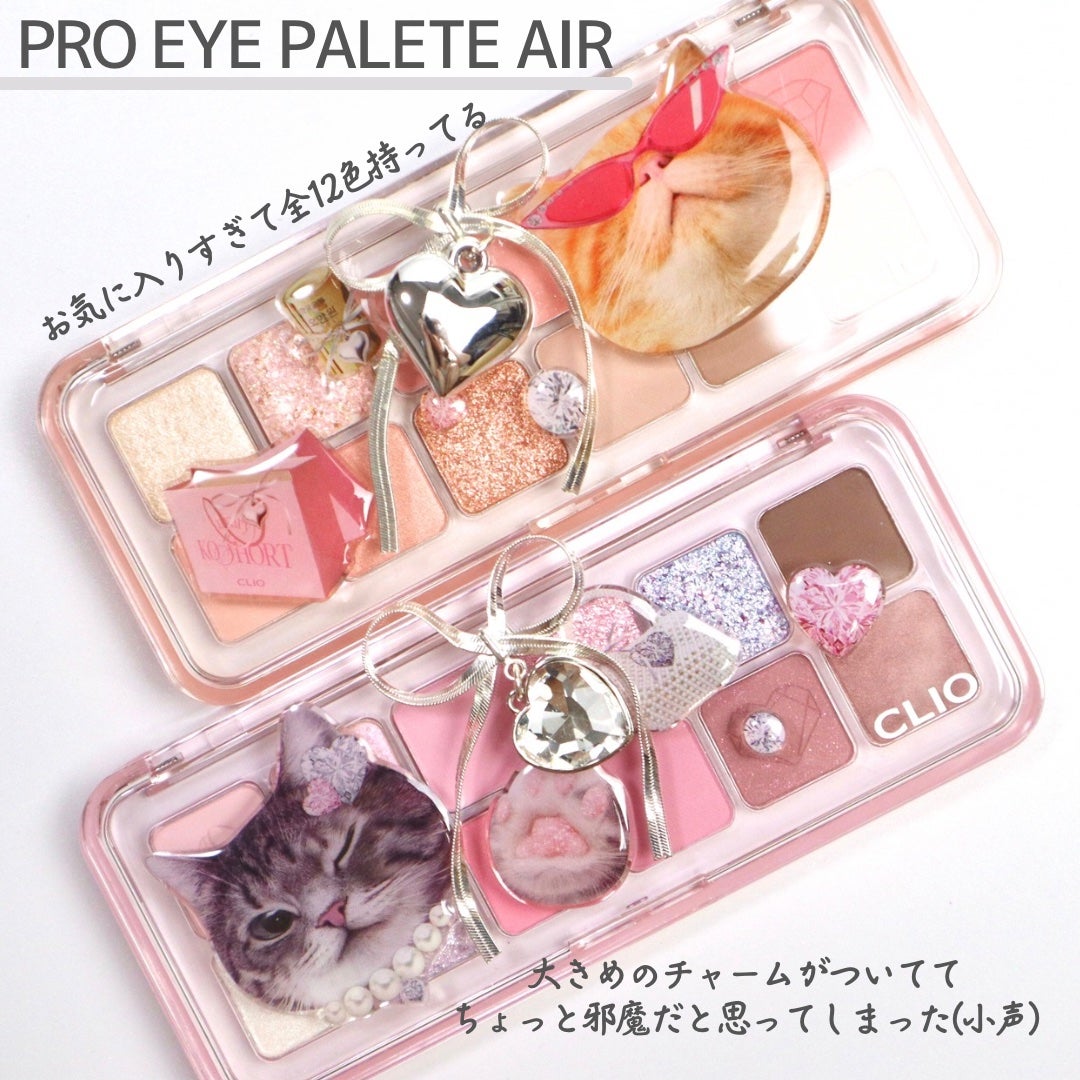 プロ アイ パレット エアー/CLIO/アイシャドウパレットを使ったクチコミ(5枚目)