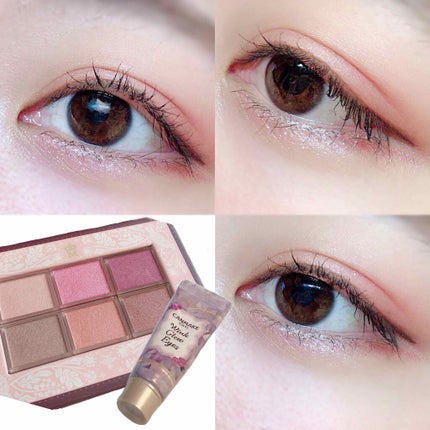 ナイストゥミーチュートランク/MAJOLICA MAJORCA/アイシャドウパレットを使ったクチコミ(1枚目)