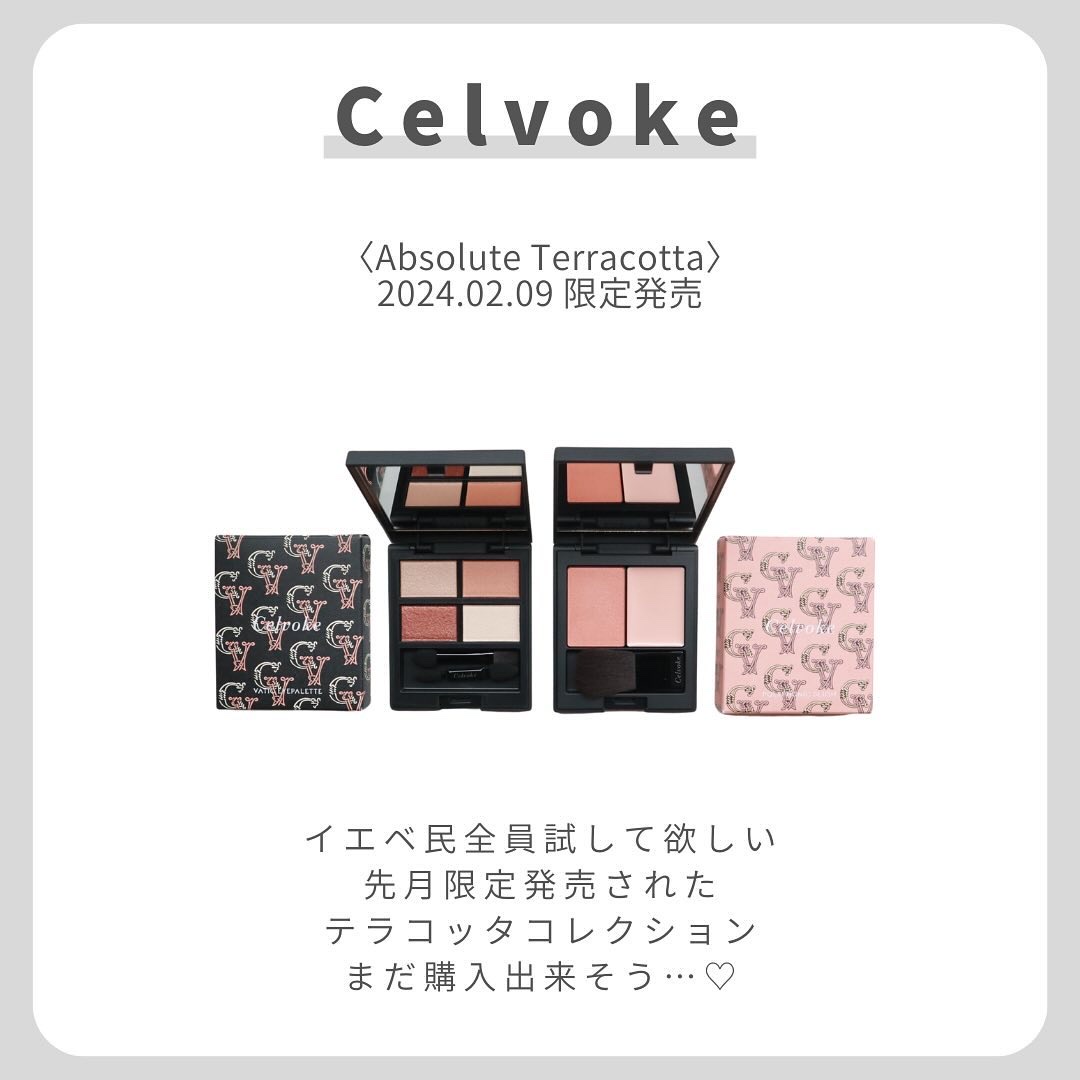 セルヴォーク ヴァティック アイパレット EX07 マイテラコッタ/Celvoke/アイシャドウパレットを使ったクチコミ（2枚目）