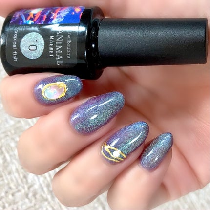 アニマルマグネットジェル/ネイル工房/ジェルネイルを使ったクチコミ(3枚目)