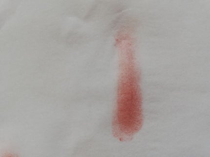 【旧品】パウダーチークス/キャンメイク/パウダーチークを使ったクチコミ(3枚目)