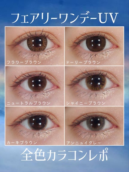 フェアリー ワンデー ニュートラルシリーズ Dolly Brown(ドーリーブラウン)/FAIRY/ワンデー(1DAY)カラコンの画像