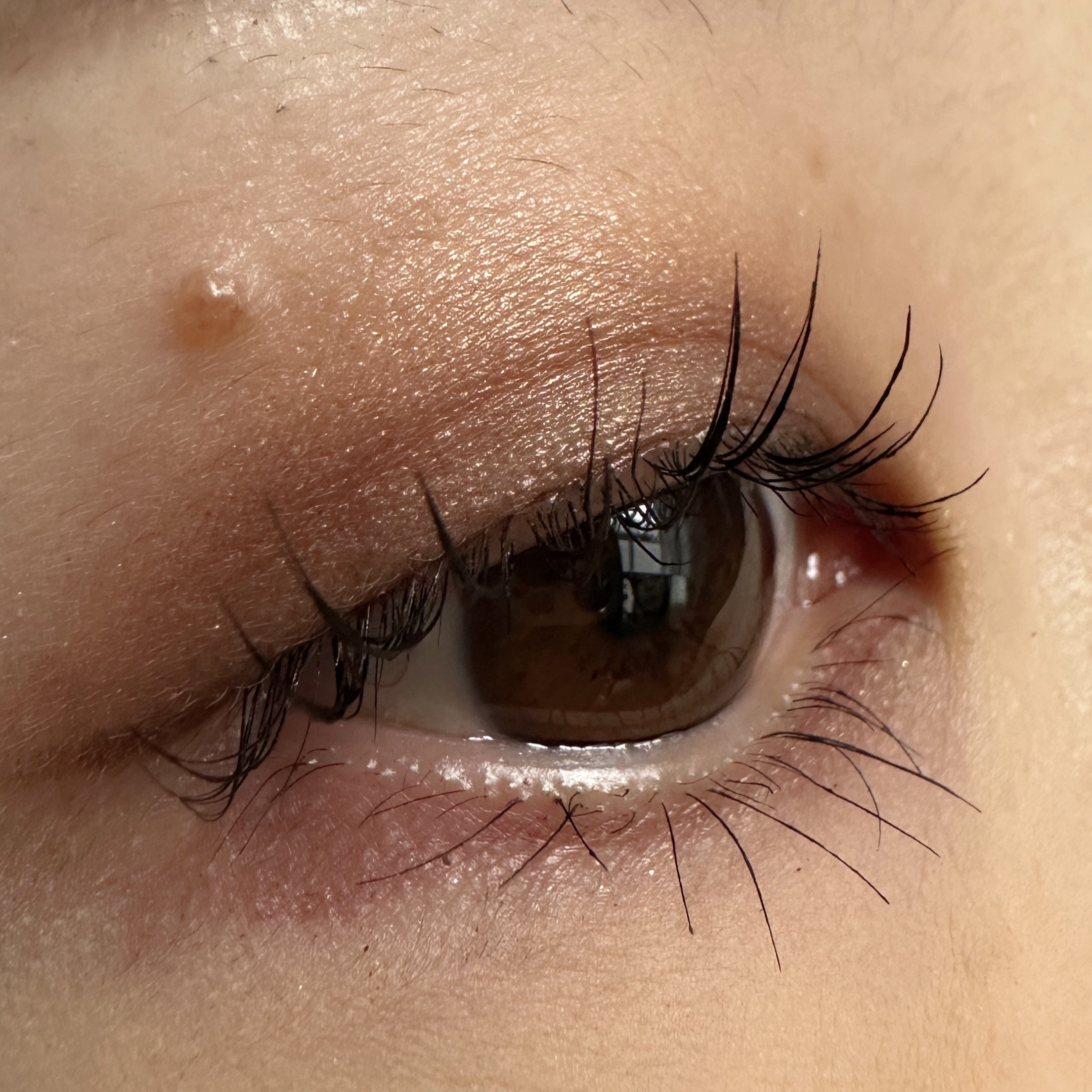 リキッドアイライナー ビジューグリッターエディション/ラブ・ライナー/リキッドアイライナーを使ったクチコミ（2枚目）