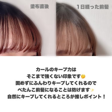 バングフィクサー/シークレットサロン/ヘアスプレー・ヘアミストを使ったクチコミ（4枚目）