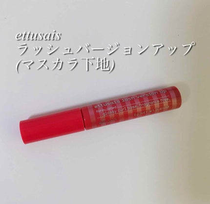 ラッシュバージョンアップ(リッチロング)/ettusais/マスカラ下地を使ったクチコミ(1枚目)