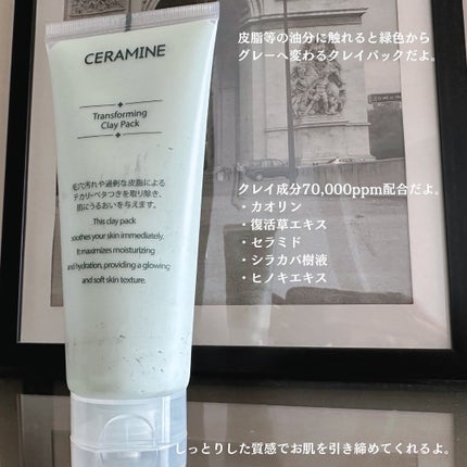 トランスフォーミングクレイパック/CERAMINE/洗い流すパック・マスクを使ったクチコミ(2枚目)