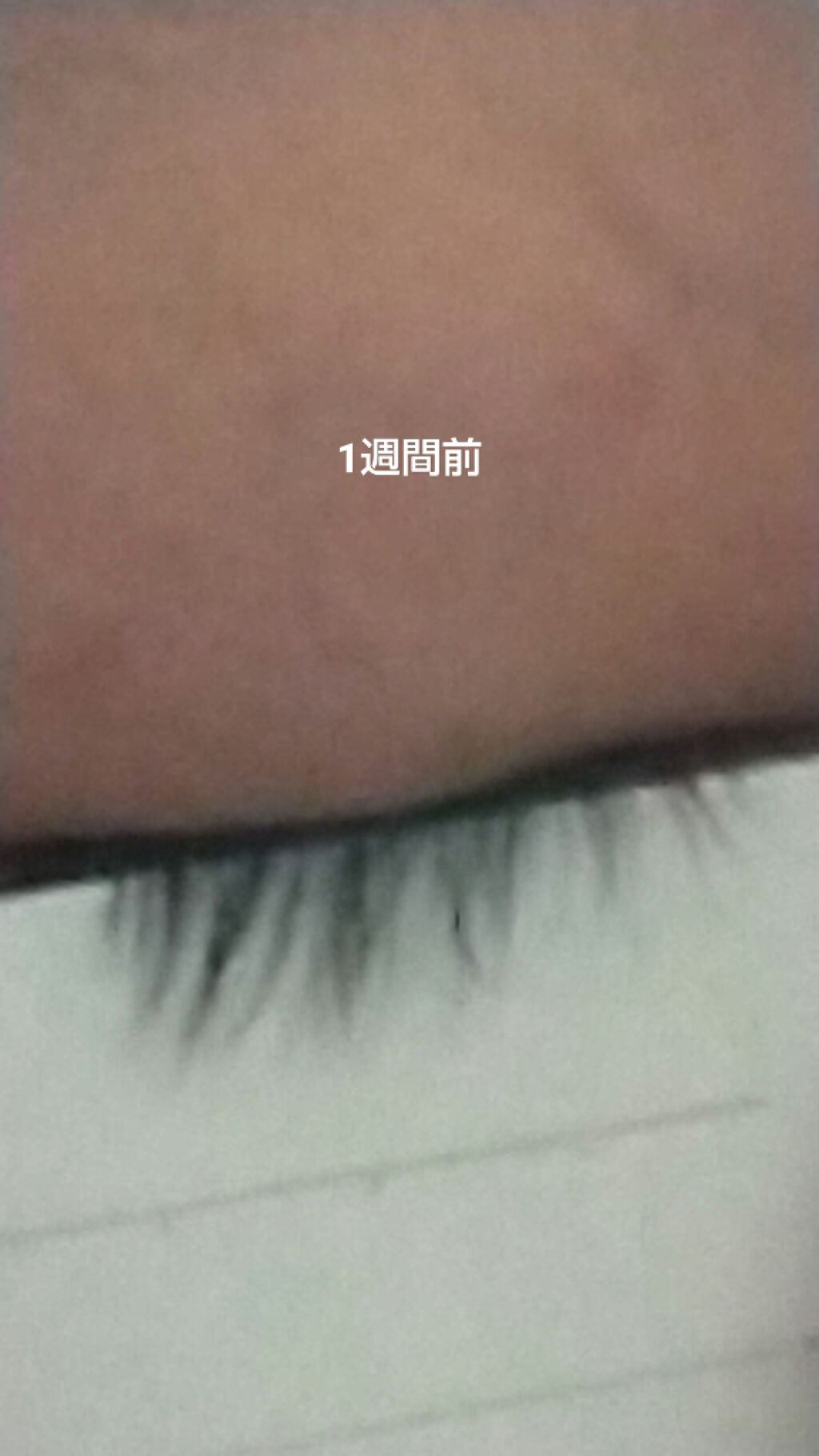 まつげ美容液EX/CEZANNE/まつげ美容液を使ったクチコミ(4枚目)