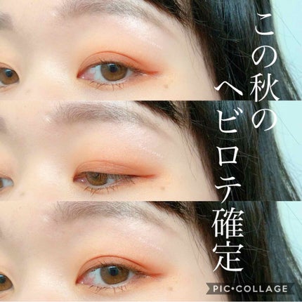 アイカラー プレイフル BR06/エレガンス クルーズ/単色アイシャドウを使ったクチコミ(3枚目)