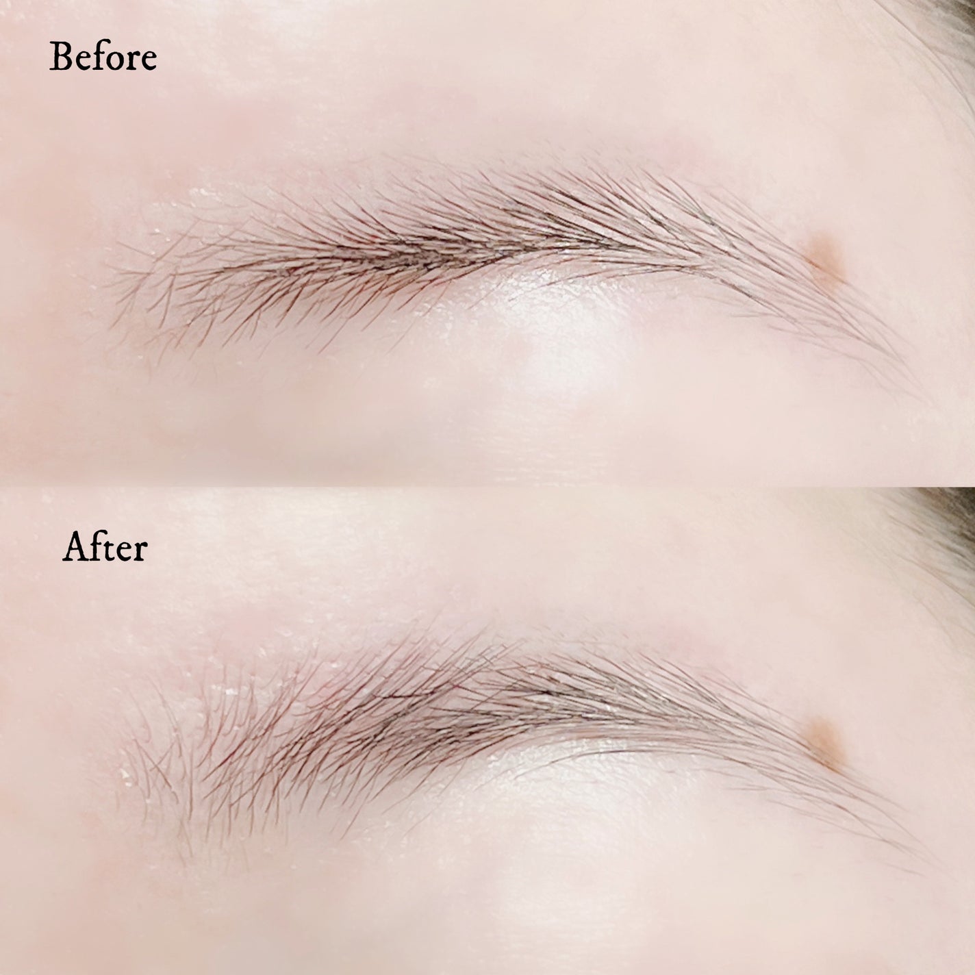 タフブローリフトキット/ENTROPY/その他キットセットを使ったクチコミ(4枚目)