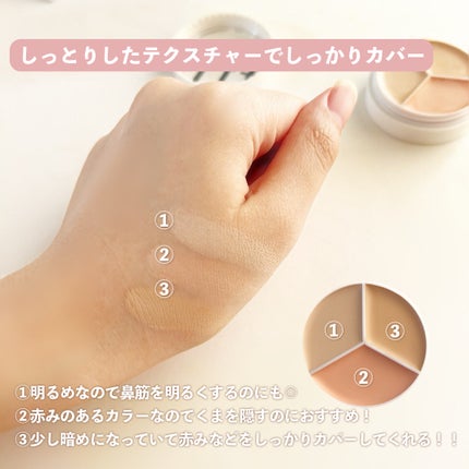 カバーアッププロコンシーラー/TFIT/パレットコンシーラーを使ったクチコミ(4枚目)