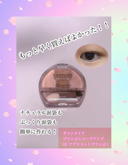 プランぷくコーデアイズ/キャンメイク/パウダーアイシャドウを使ったクチコミ(1枚目)
