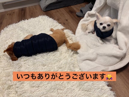 ヴェルニ/CHANEL/マニキュアを使ったクチコミ(7枚目)