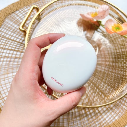 クラリティブラン サーフェイサー/ALBLANC/化粧下地を使ったクチコミ(9枚目)