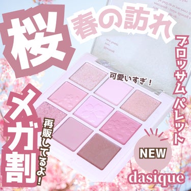 シャドウパレット/dasique/アイシャドウパレットを使ったクチコミ（1枚目）