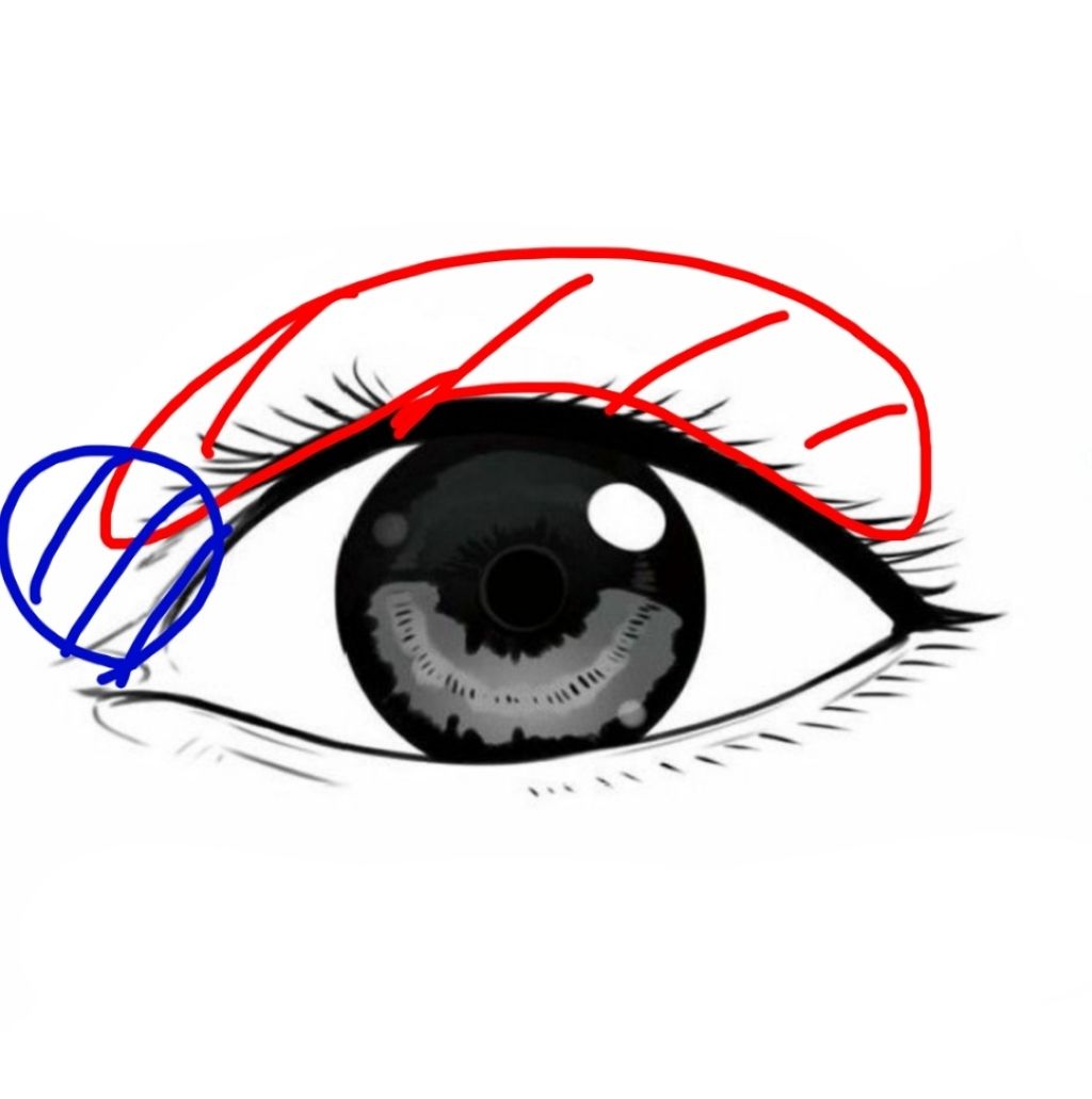 ダブルアイリッド/DAISO/二重まぶた用アイテムを使ったクチコミ(2枚目)